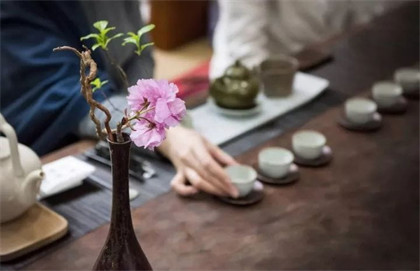 泰安珲春市普洱茶回收让您的茶叶变废为宝